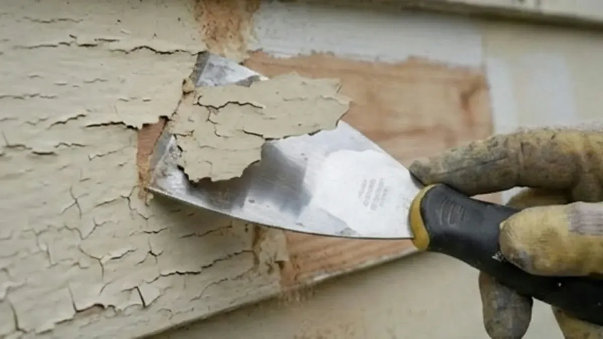 Painter applying exterior paint to weatherboard cladding on a Hamilton home