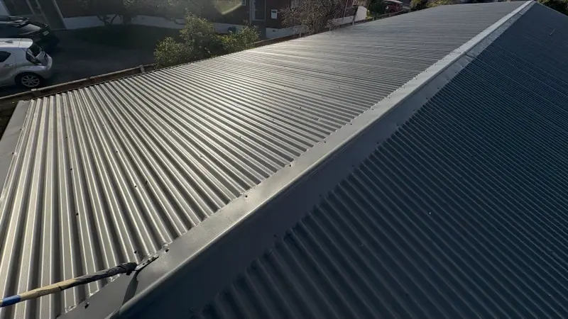 Roof painting & restoration video preview